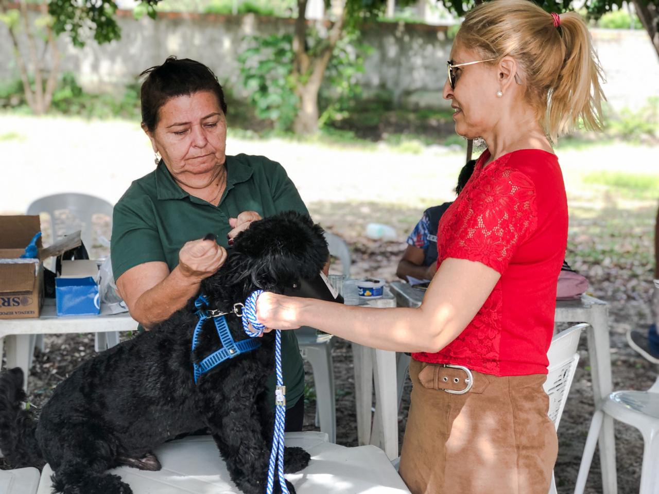 agente de saúde vacina um cachorro preto